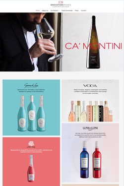 Hosting Company Layout Preview