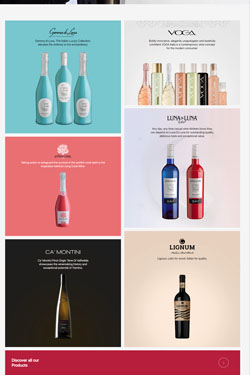 Hosting Company Layout Preview