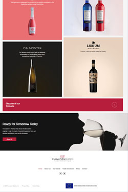 Hosting Company Layout Preview